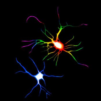 El impacto de los psicodélicos en la sociedad: psilocibina y LSD