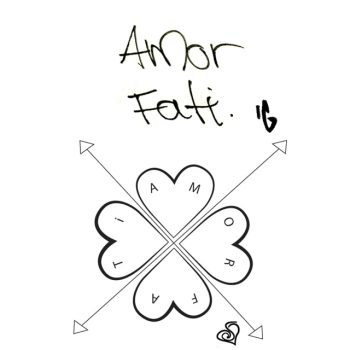 Amor Fati - amor por el destino