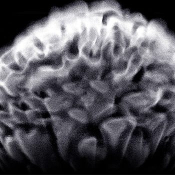 Experimentos Isra García