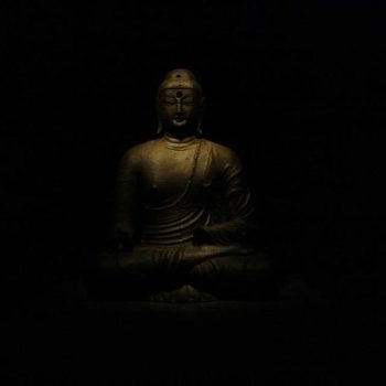 La naturaleza buda - ls oscuridad es buda