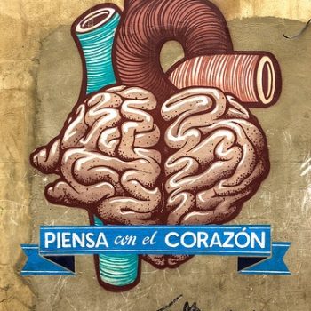 cómo conectar con la vida