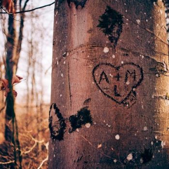 lecciones de amor que cambiarán tu vida